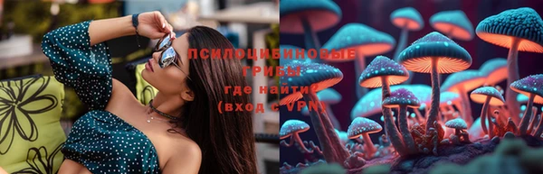 бошки Богданович
