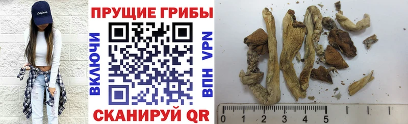 Галлюциногенные грибы Magic Shrooms  omg вход  Кирсанов  наркошоп 