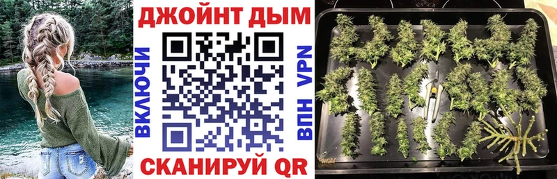 Бошки Шишки тримм  Кирсанов 